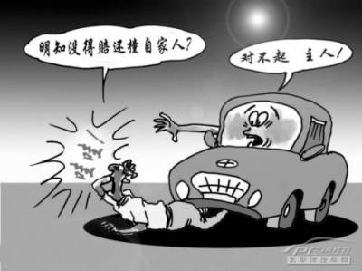 养车一年保险多少钱