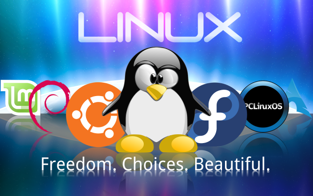 Linux命令大全!新手必懂的Linux常用命令【图】