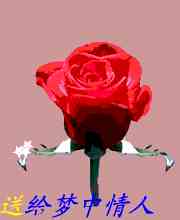 玫瑰花表情精选 玫瑰花表情图片【图】_爱情qq表情