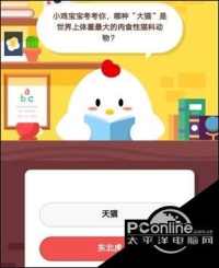 答案庄园今日灯笼蚂蚁海豚眼睛图片